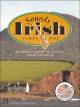 Noten-Titelbild zu SOUNDS IRISH - UE+21080