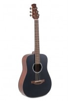 Akustikgitarre Wood Classics AAT96-4S Travel Matt