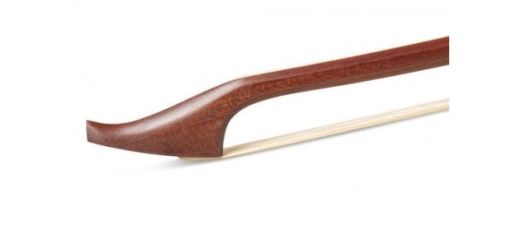 Bass Gambe hoher Frosch