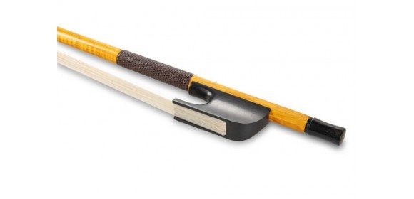 Bass Gambe niedriger Frosch