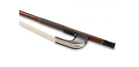 Bass Gambe hoher Frosch