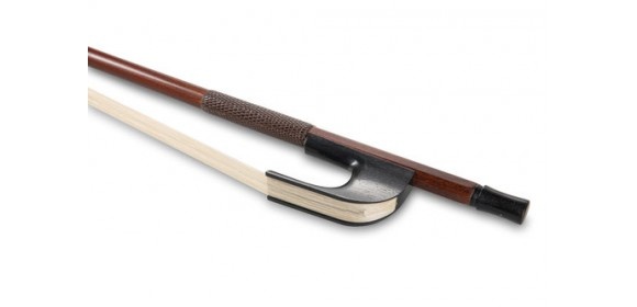 Bass Gambe hoher Frosch