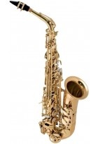 Eb-Alt Saxophon „La Voix II“ CAS-280R Step Up CAS-280R