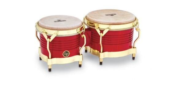 Bongo Matador Wood Rot