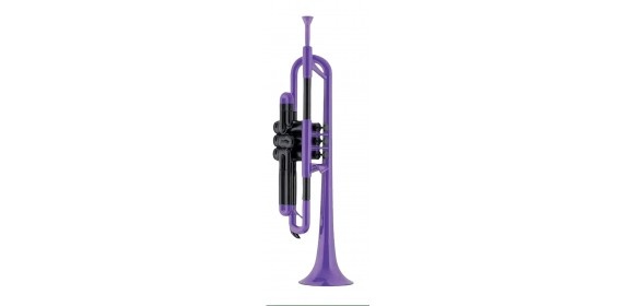 Trompete violett