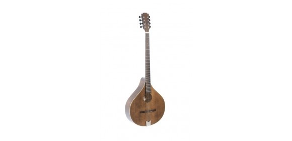 Irish Bouzouki Pro Arte Antique Antique