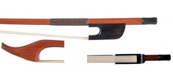 Bass Gambe niedriger Frosch