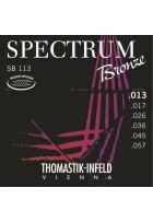 Akustik-Gitarren Saiten Spectrum Bronze Series Satz