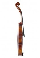 Violine Maestro 1 3/4