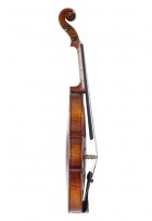 Violine Maestro 2 1/2