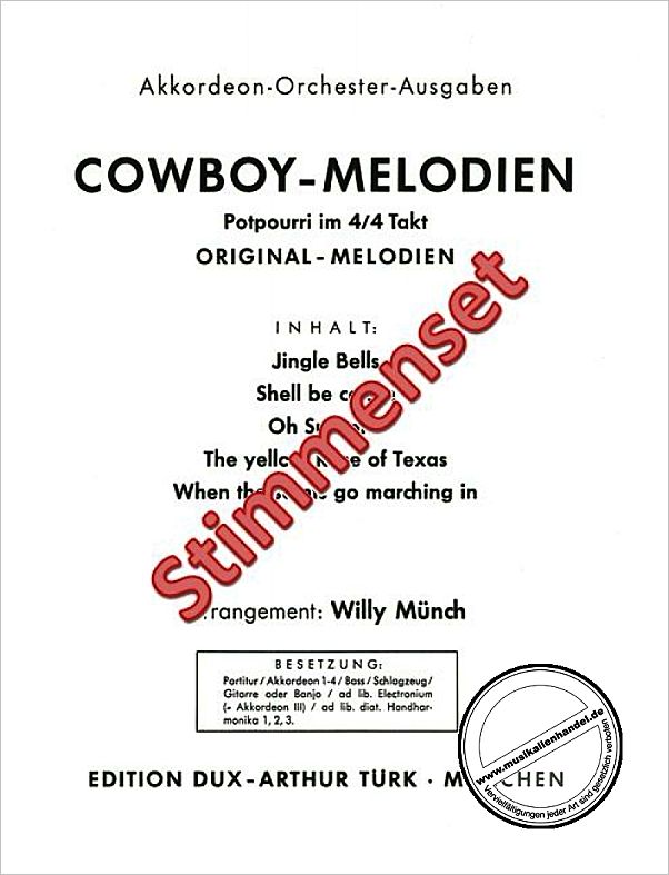 Titelbild für D 520-99 - COWBOY MELODIEN