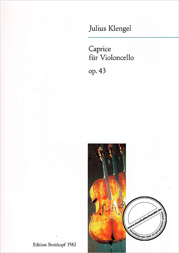 Titelbild für EB 3582 - CAPRICE IN FORM EINER CHACONNE