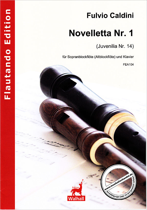 Titelbild für FE -A104 - NOVELLETTA 1 (JUVENILIA 14)