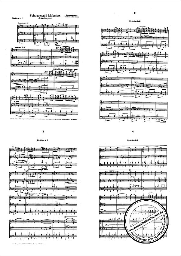 Titelbild für HAL 3267 - SCHWARZWALDMELODIEN POTPOURRI