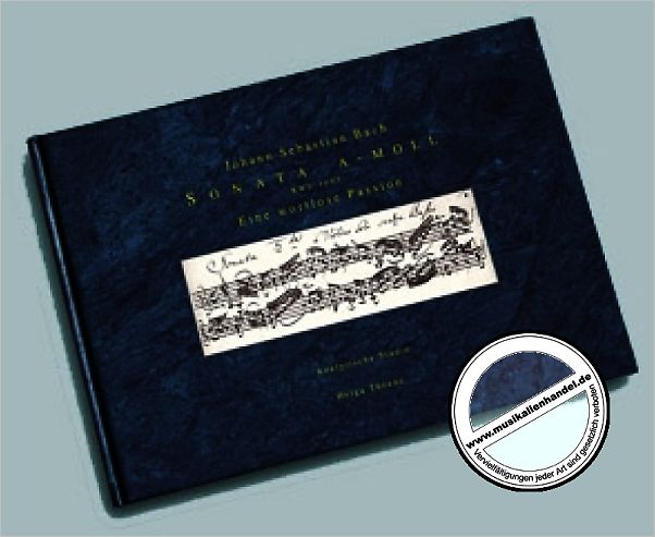 Titelbild für ISBN 3-938380-12-8 - SONATE A-MOLL BWV 1003 - EINE WORTLOSE PASSION