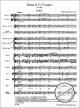 Notenbild für BA 4851 - MISSA BREVIS C-DUR KV 258 (PICCOLO / SPAUR MESSE)