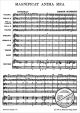 Notenbild für BA 543 - MAGNIFICAT ANIMA MEA BUXWV ANH 1
