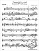Notenbild für BA 8976 - CONCERTINO 1 A-MOLL