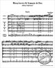 Notenbild für BATP 95 - MISSA BREVIS B-DUR SANCTI JOHANNIS DE DEO HOB 22/7