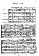 Notenbild für BEL 234A - QUINTETT G-DUR OP 14