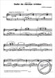 Notenbild für BH 0100252 - SUITE DE DANZAS CRIOLLAS OP 15