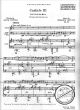 Notenbild für BH 5100015 - CANTICLE 3 STILL FALLS THE RAIN OP 55