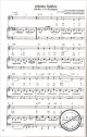 Notenbild für BU 71178 - Liedbegleitung Klavier