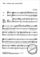 Notenbild für CARUS 10300-00 - SALVE COELESTIS PATER MISERICORDIAE