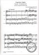 Notenbild für CFS 4626 - CAPRICHO ARABE (SERENATA)