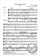 Notenbild für CV 54.257/03 - Missa Sancti Aloysii MH 257 (1777)