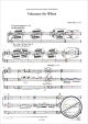Notenbild für DO 02482 - VOLUNTARY FUER WILTEN