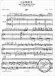 Notenbild für DUR 6003 - CAPRICE (ETUDE EN FORME DA VALSE) VL ORCH