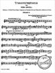 Notenbild für EPKT 4315-VL2 - TRAUERSYMPHONIE