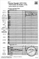 Notenbild für ERPR 1333 - FONTANE DI ROMA / PINI DI ROMA / FESTE ROMANE