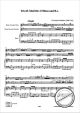 Notenbild für GUENTER -G082 - TRIO H-MOLL