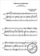 Notenbild für HER 0434-P - GLORIA IN EXCELSIS DEO