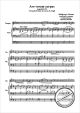 Notenbild für HER 0613-O - AVE VERUM CORPUS KV 618 D-DUR