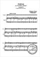 Notenbild für HER 0622-P - ALLELUJA (EXSULTATE JUBILATE KV 165) B-DUR
