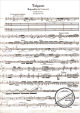 Notenbild für HN 587 - TZIGANE - RHAPSODIE DE CONCERT