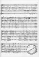 Notenbild für IRIS 1300-13 - HALLELUJAH