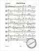 Notenbild für MMO 7011 - 12 MORE CLASSIC JAZZ STANDARDS