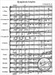 Notenbild für MPH 129 - SINFONIE 3 C-DUR OP 40 (SYMPHONIA TRAGICA)