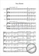 Notenbild für MSNOV 291907 - MAGNIFICAT UND NINC DIMITTIS IN D
