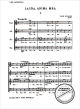 Notenbild für MSVI 00668H - LIBER CANTICORUM OP 59C