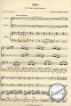 Notenbild für ORPHEUS -MAG09 - TRIO