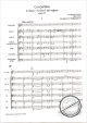 Notenbild für SE 1002 - CONCERTINO G-DUR OP 11
