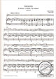 Notenbild für SE 1027 - CONCERTINO H-MOLL OP 35
