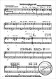 Notenbild für SEIF 10010041 - LUSTIGE MUSIKANTEN 21