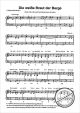 Notenbild für SEIF 10010081 - LUSTIGE MUSIKANTEN 41