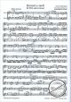Notenbild für SYRINX 85 - KONZERT E-MOLL - FL ORCH